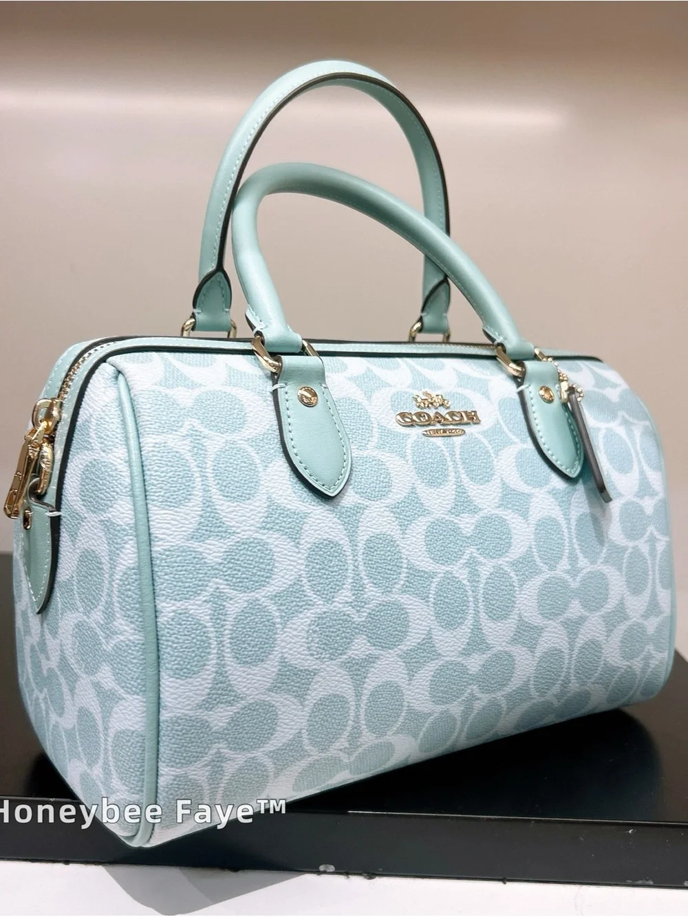 Coach rowan Signature Satchel plus Matching Wallet cey39 gold/ light blue bundle